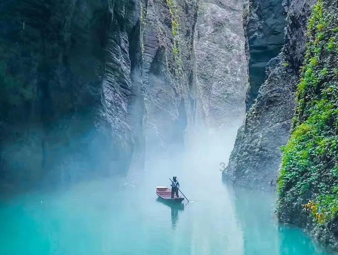 白化摇篮曲